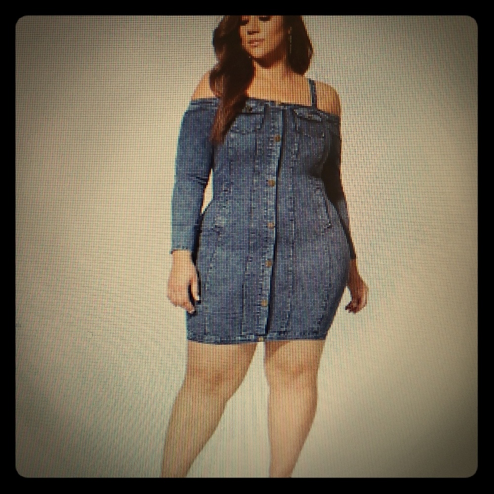 Denim dress (bodycon)